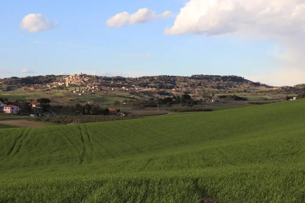 Antiche Fonti Apartment Bibbona